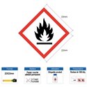 Étiquette SGH02 - Inflammable