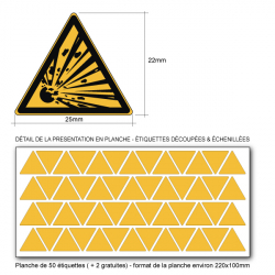 Etiquette triangle Danger  ISO 71010 W001 - Base 25mm en planche